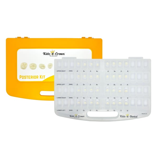 Erstem Molaren Master-Kit