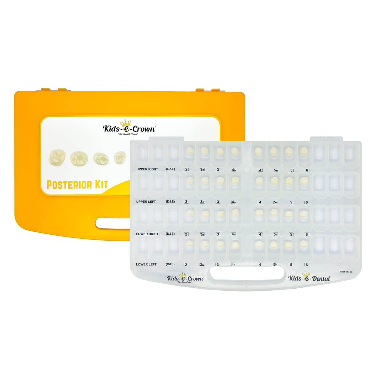 Zweiter Molar Master-Kit – Kids-e-Dental LLP, Provisorische Kronen