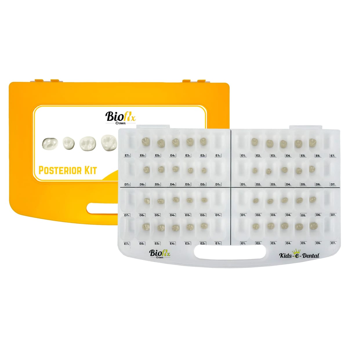 Bioflx Posterior Starter-Kit – Kids-e-Dental LLP, Provisorische Kronen