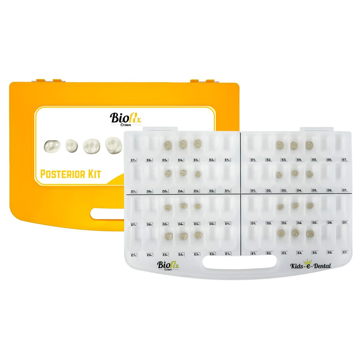 Bioflx Posterior Probekit – Kids-e-Dental LLP, Provisorische Kronen