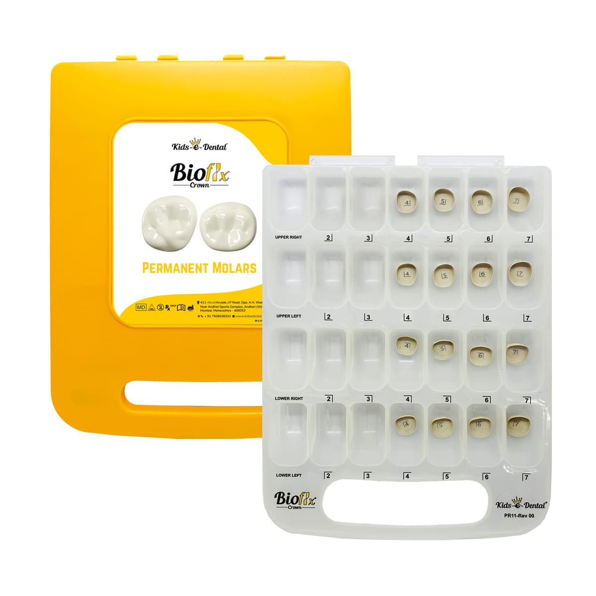 Bioflx Permanente Molaren-Kronen Starter-Kit – Kids-e-Dental LLP, Provisorische Kronen