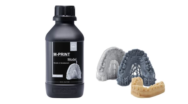 M-PRINT Model