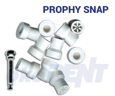 Prophy Snap