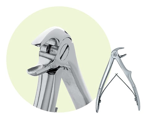C1 Mandibular Forceps 9065051 – Premier Dental, Extraktionszangen