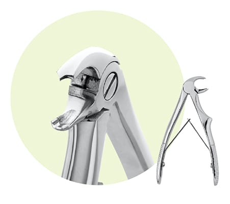 C2 Mandibular Forceps 9065052 – Premier Dental, Extraktionszangen