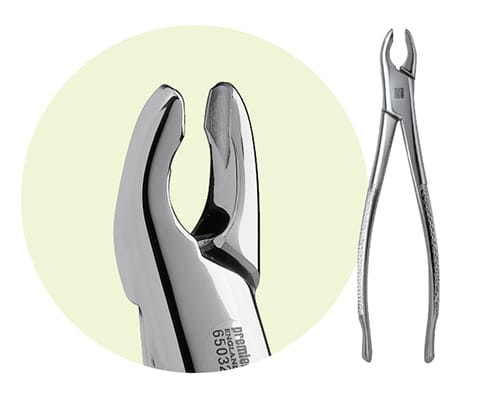 150A Maxillary Forceps 9065032 – Premier Dental, Extraktionszangen