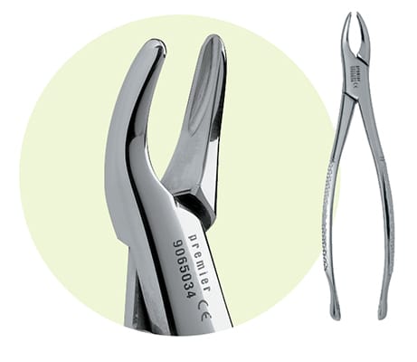 150S Maxillary Forceps 9065034