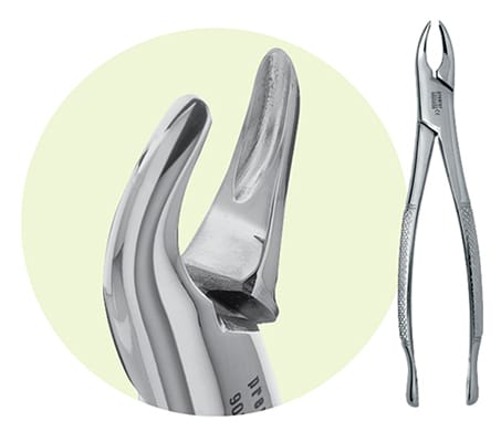 150 Maxillary Forceps – Premier Dental, Extraktionszangen
