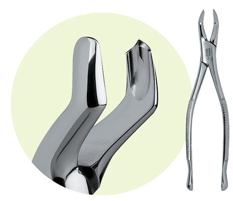 53R Maxillary Forceps 9065016 – Premier Dental, Extraktionszangen