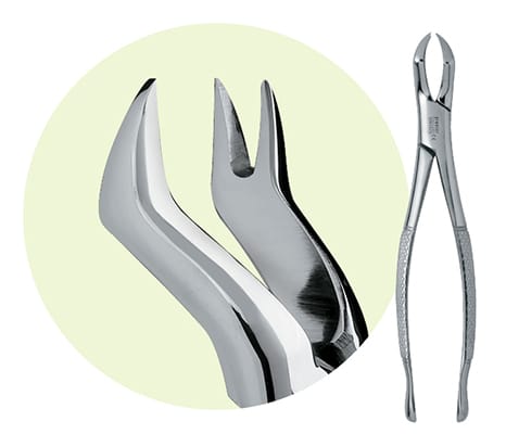 88R Maxillary Forceps 9065025 – Premier Dental, Extraktionszangen