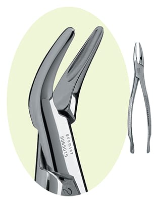69 Root Forceps 9065019