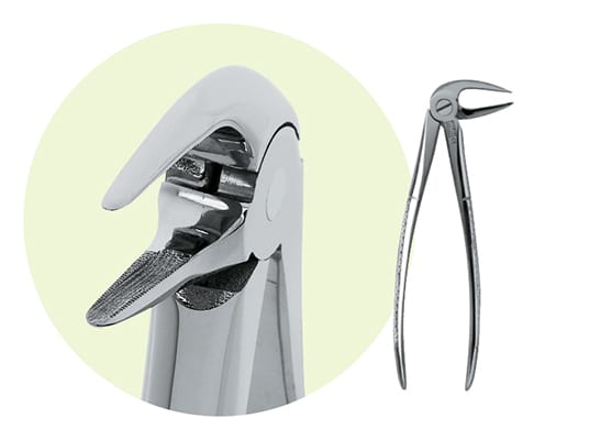 Lower Root Grip 9065044