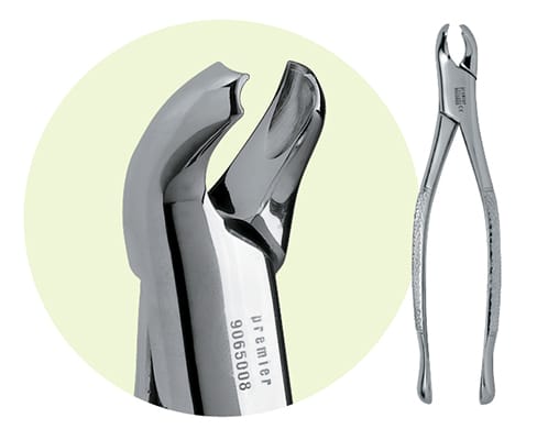 17 Mandibular Forceps 9065008 – Premier Dental, Extraktionszangen