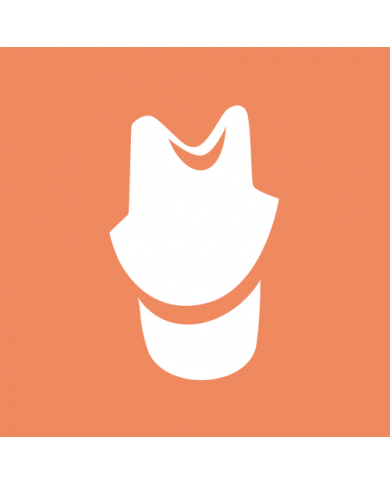 Implantat-Modul – Zyrkon Medical, S.L., CAD/CAM-Software
