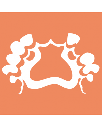 PartialCAD-Modul – Zyrkon Medical, S.L., CAD/CAM-Software