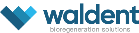 Bonabone – WALDENT MEDICAL GMBH, Knochenersatzmaterial