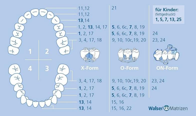 Walser Zahn-Matrizen: Teilmatrizensystem Sets – Dr. Walser Dental, Matrizen