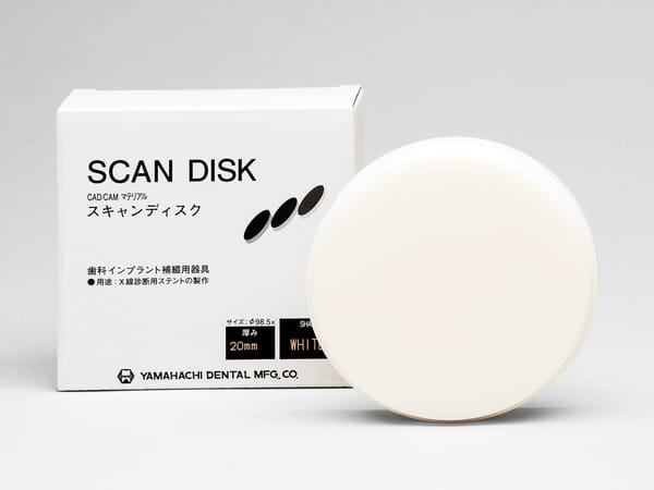 Scan Disk