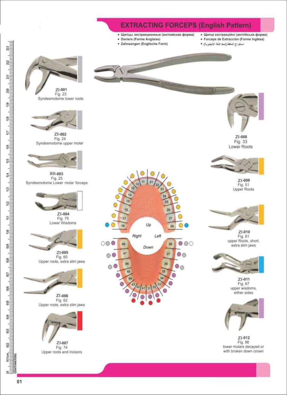 Extracting Forceps – Zaryab Instruments, Extraktionszangen