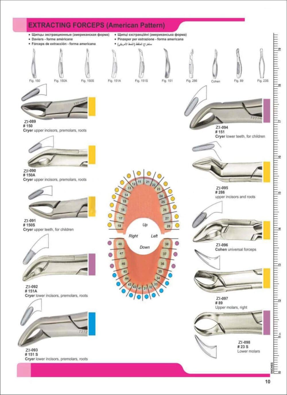 Extracting Forceps – Zaryab Instruments, Extraktionszangen