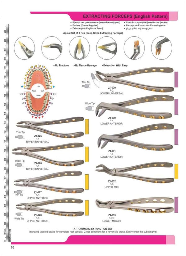 Extracting Forceps ZI-025