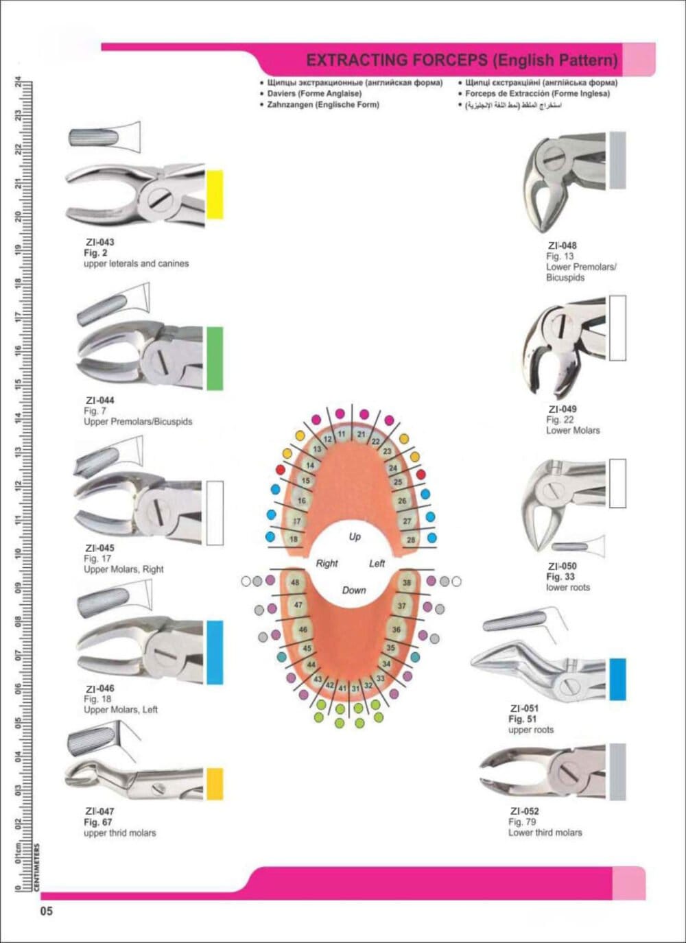 Extracting Forceps – Zaryab Instruments, Extraktionszangen