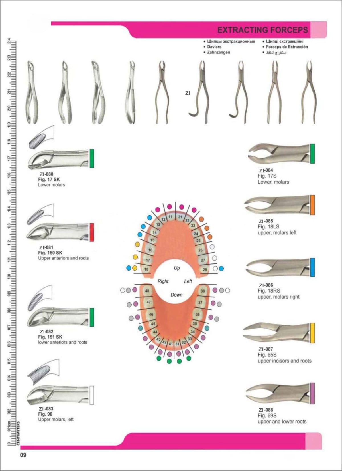 Extracting Forceps ZI-080 – Zaryab Instruments, Extraktionszangen Oberkiefer