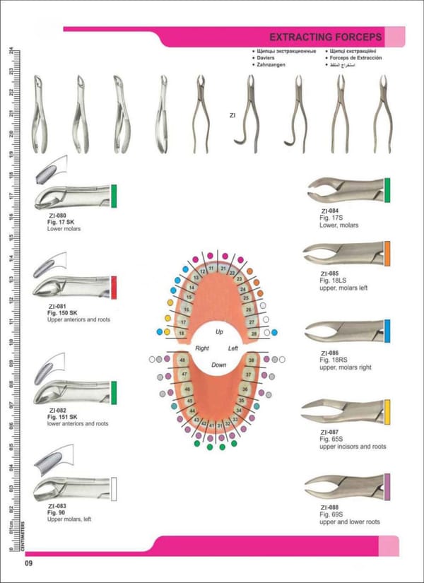 Extracting Forceps ZI-080