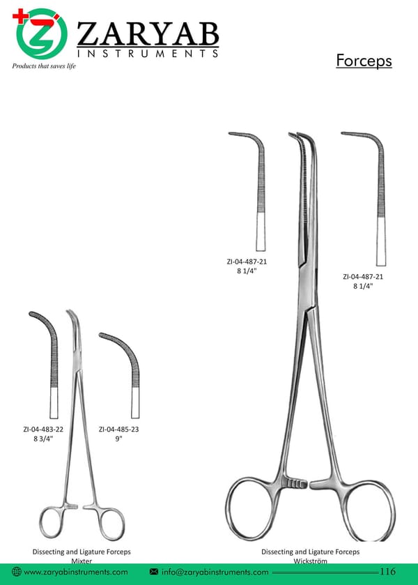 Forceps ZI-04-483-22