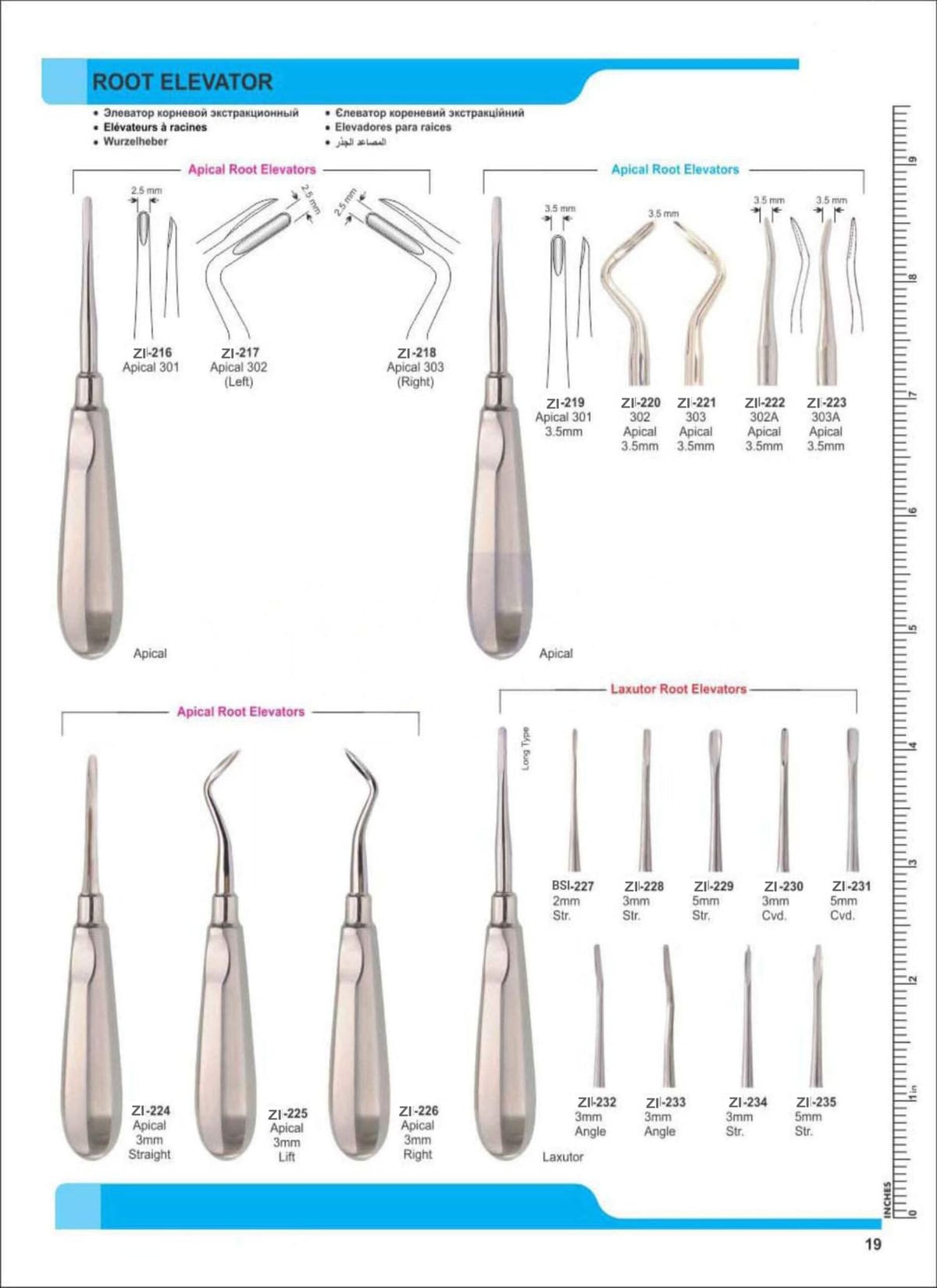 Root Elevators ZI-216 – Zaryab Instruments, Wurzelheber