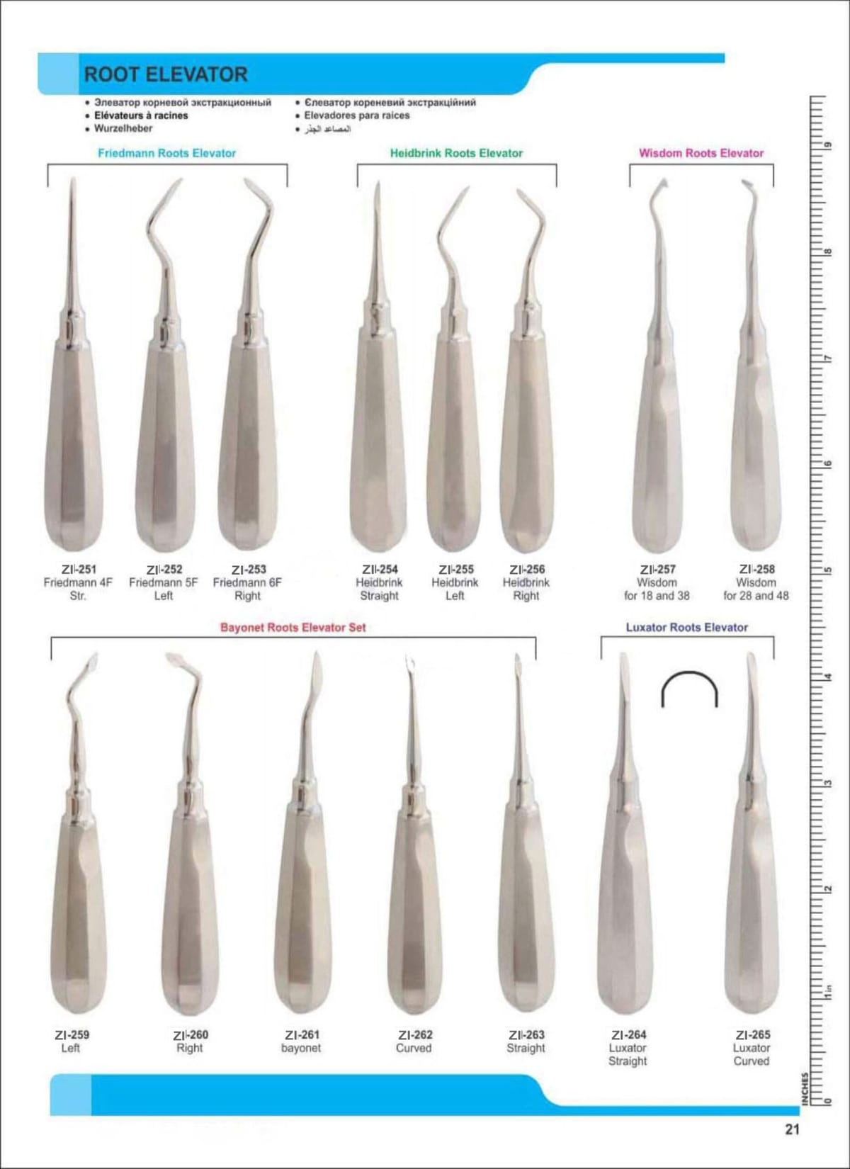 Root Elevators ZI-251 – Zaryab Instruments, Wurzelheber