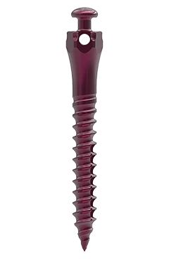 DSQ | Microimplantes de ortodoncia – Ziacom Medical S.L.U, Verankerungssysteme
